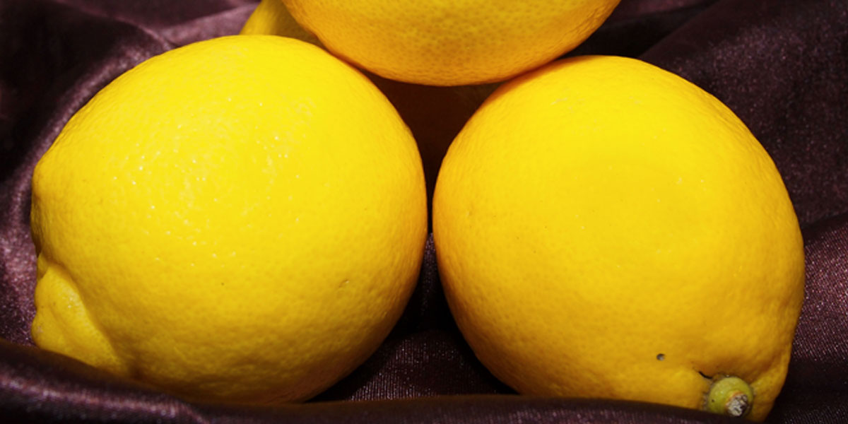 Als Garnitur verwenden Sie für den Lillet Vesper eine hauchdünne Zitronenscheibe oder eine Zitronenspirale.